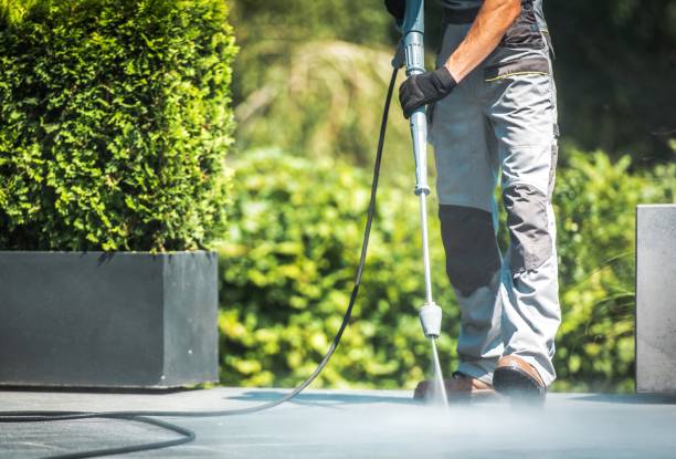 Best Soft Washing  in Pasatiempo, CA