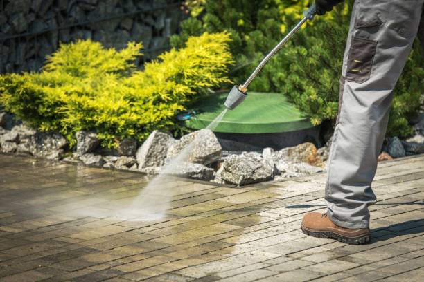 Best Fence Cleaning  in Pasatiempo, CA