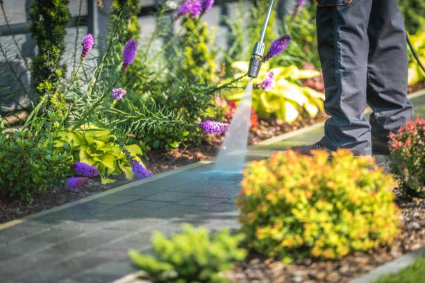 Best Pre-Holiday Cleaning  in Pasatiempo, CA