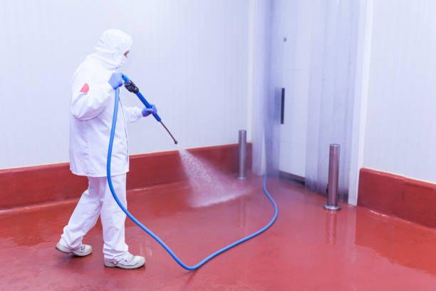  Pasatiempo, CA Pressure Washing Pros